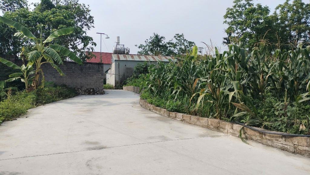 80,2M full thổ cư Tân Tiến - Xuân Mai, Chỉ 1,25 tỉ