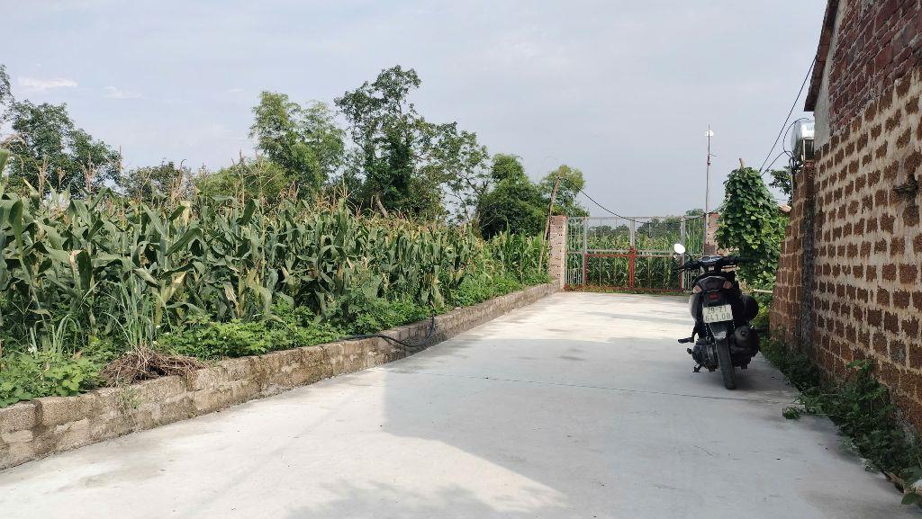 80,2M full thổ cư Tân Tiến - Xuân Mai, Chỉ 1,25 tỉ