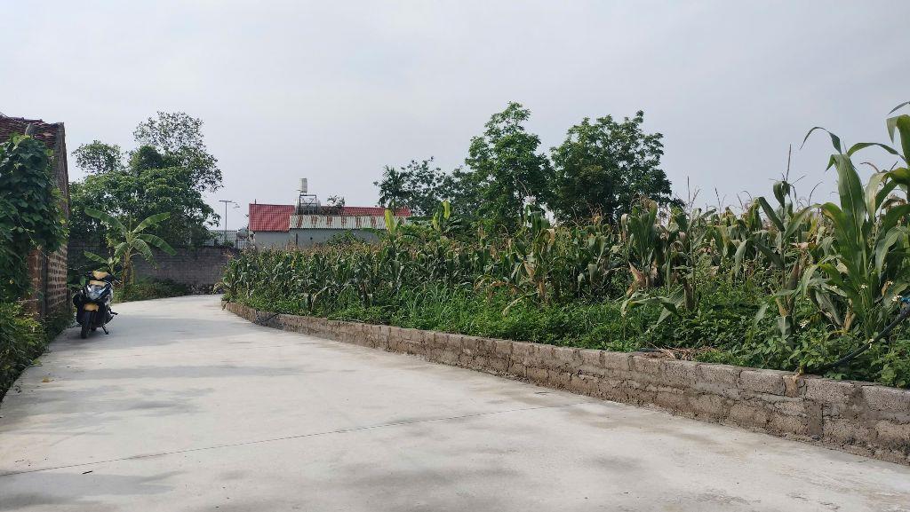 80,2M full thổ cư Tân Tiến - Xuân Mai, Chỉ 1,25 tỉ