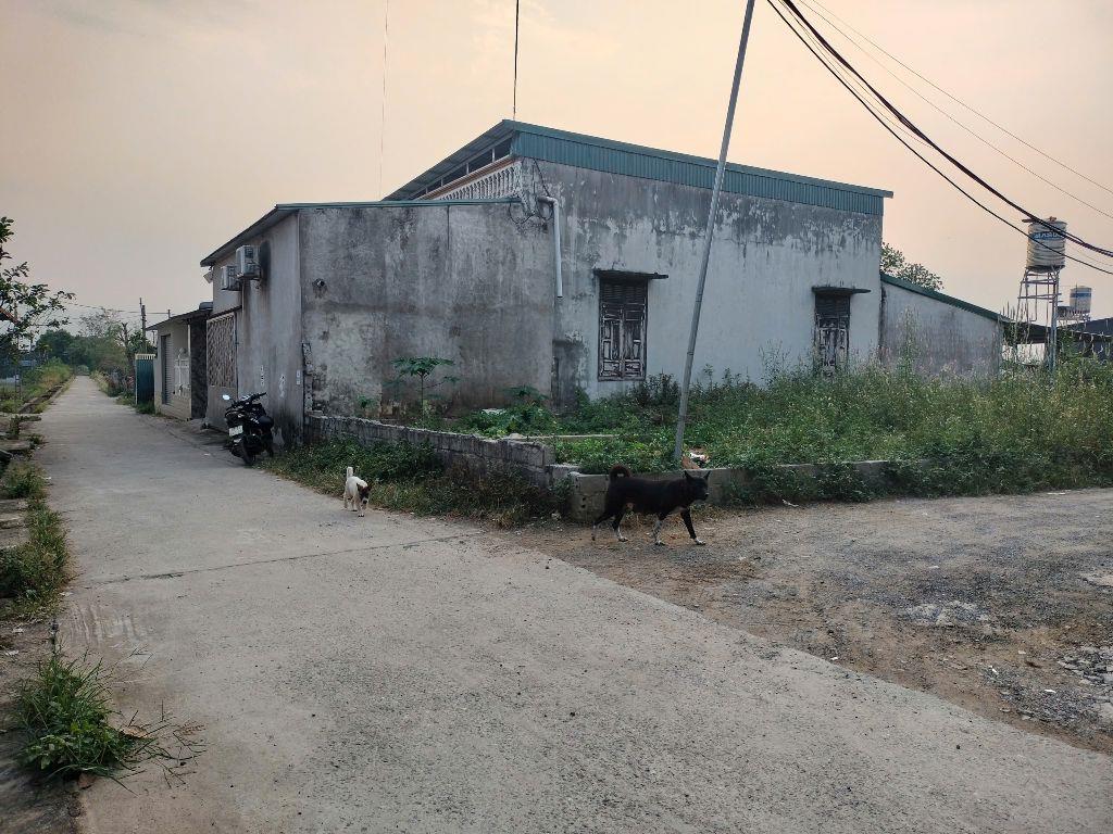 Lô góc 50m Xuân Mai, ô tô thông , Cách QL6 chỉ 500m