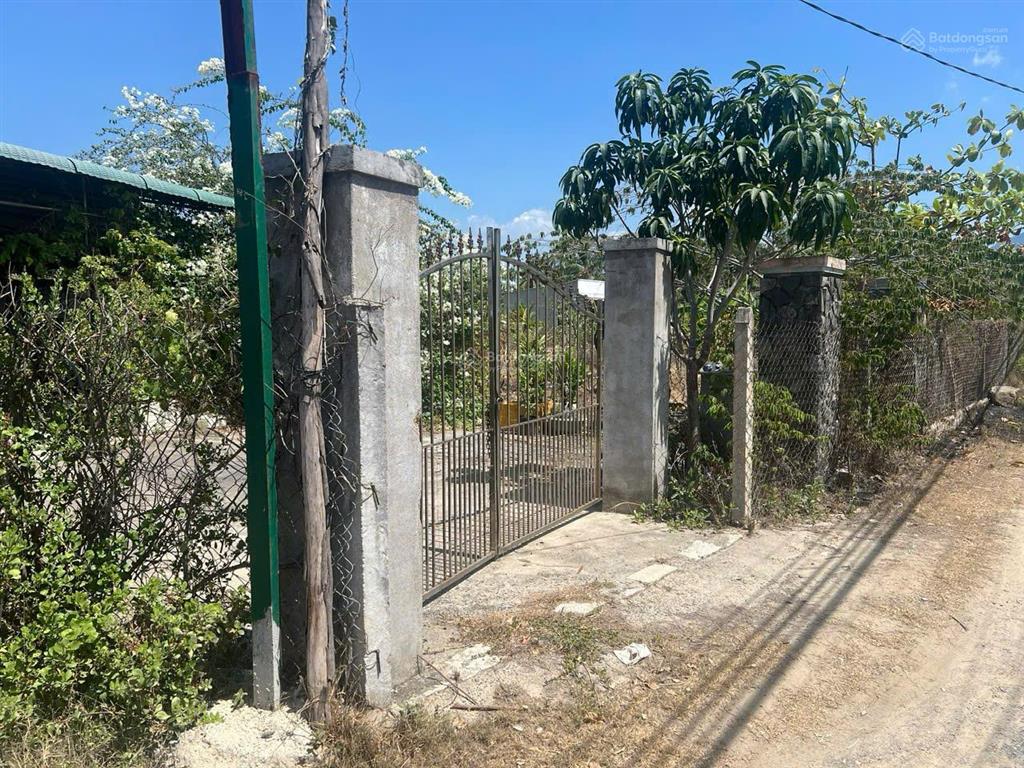 Bán đất diện tích lớn ba ngòi, cam ranh có sẵn đất ở, kết hợp với các bạn môi giới 2.5%