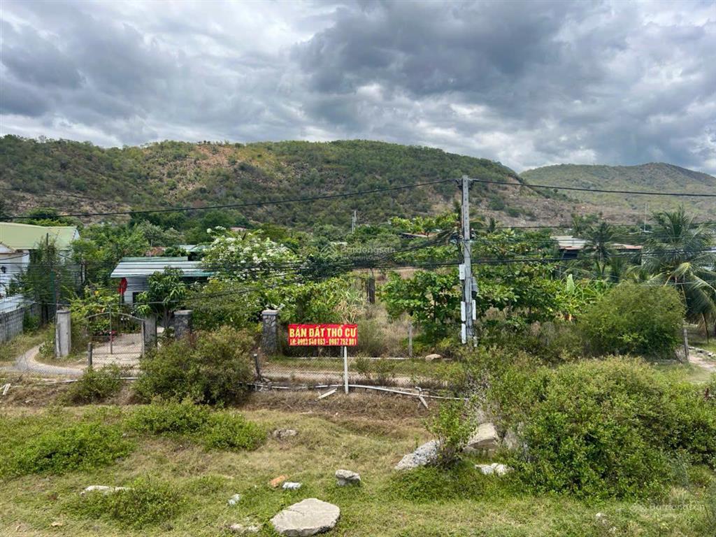 Bán đất diện tích lớn ba ngòi, cam ranh có sẵn đất ở, kết hợp với các bạn môi giới 2.5%