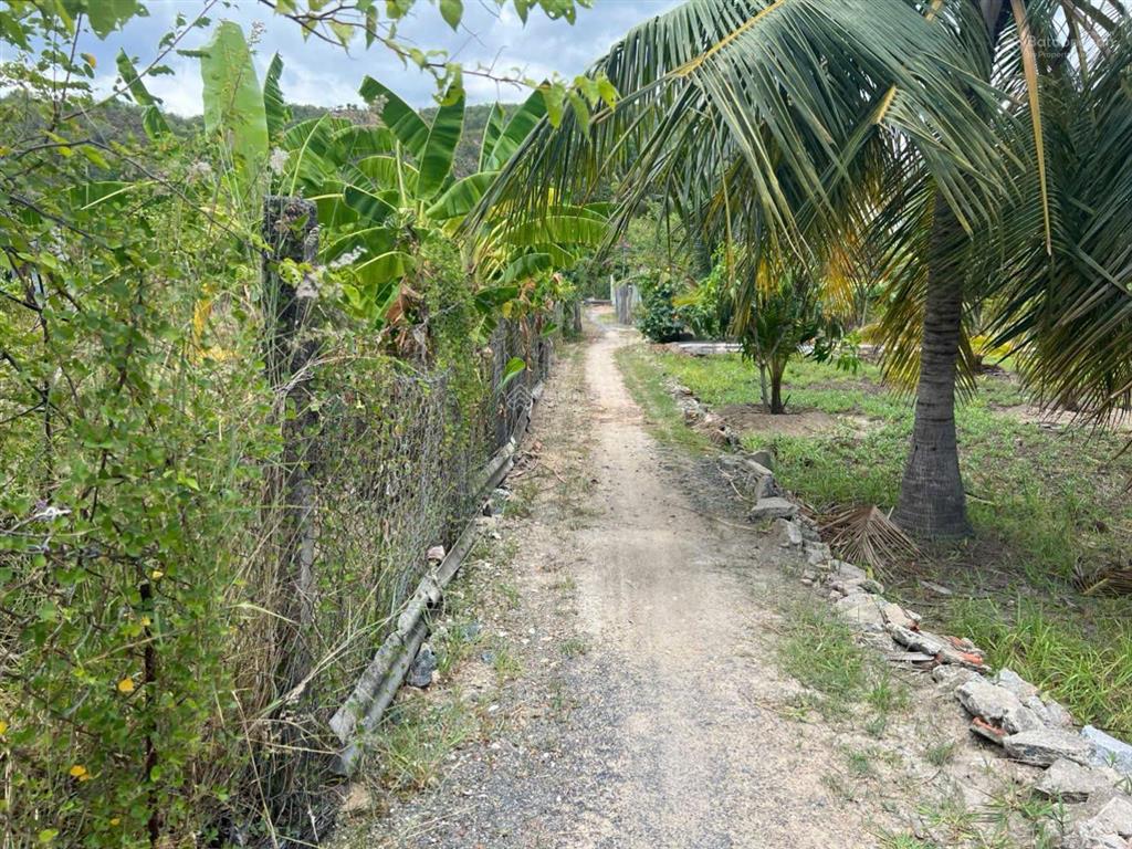 Bán đất diện tích lớn ba ngòi, cam ranh có sẵn đất ở, kết hợp với các bạn môi giới 2.5%