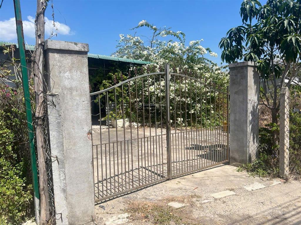 Bán đất diện tích lớn ba ngòi, cam ranh có sẵn đất ở, kết hợp với các bạn môi giới 2.5%