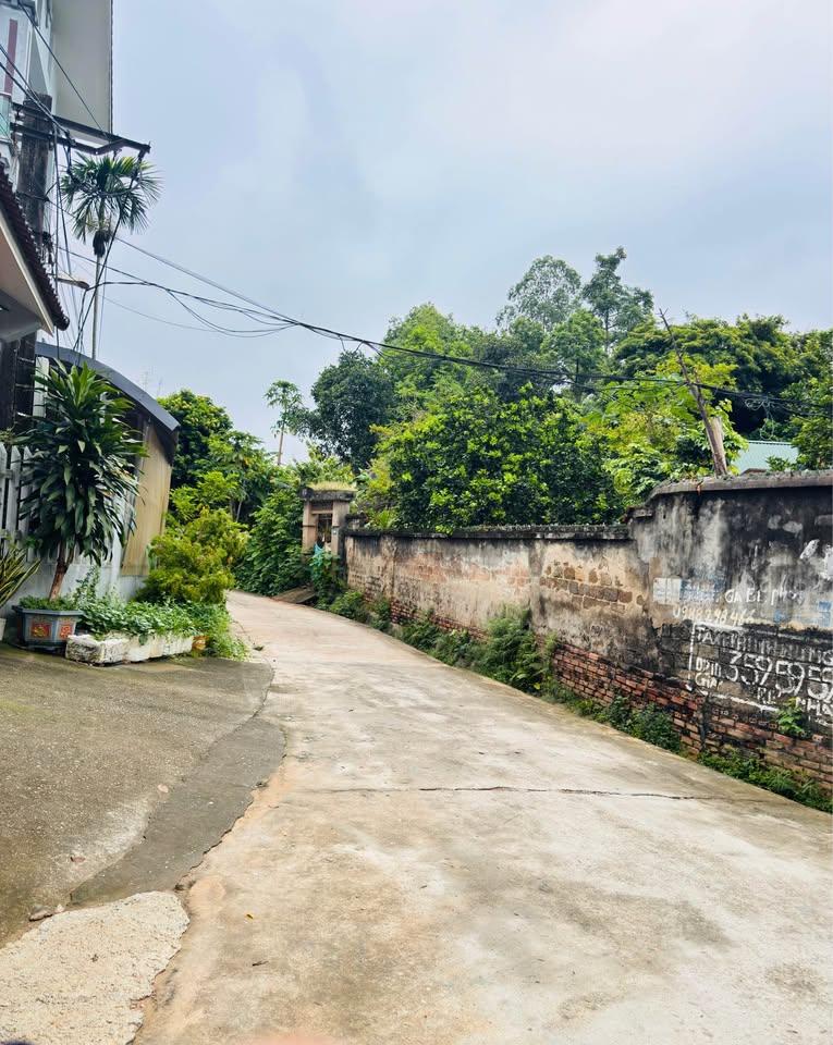 Bán lô đất 110m2 full TC (5*22) hướng Đông Bắc Thuộc  Khu 3 (TT Phong Châu cũ) xã Phù