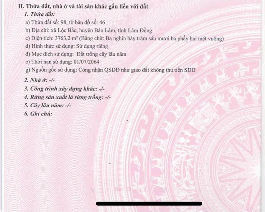 Bán lô đất > 6ha  Thuộc Bảo Lâm 5 (thôn 4 Lộc Bắc cũ) – Lâm Đồng.