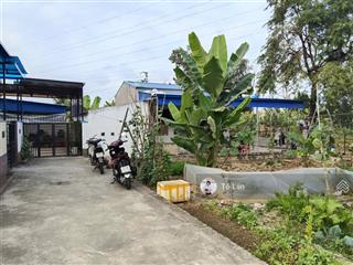 Cần bán 94,5 m2 đất thổ cư tại gia đức phường bạch đằng hải phòng