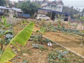 Bán đất liền kề mặt đường liên thôn kỳ sơn  thủy nguyên  phù hợp ở và kinh doanh