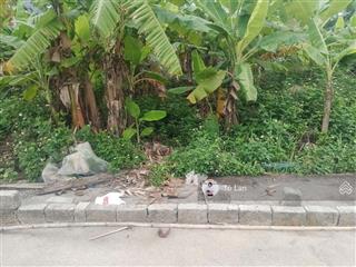 Em có 1 siêu phẩm tại trung tâm việt khê  thuỷ nguyêntại thôn,12 lại xuân ,cũ.