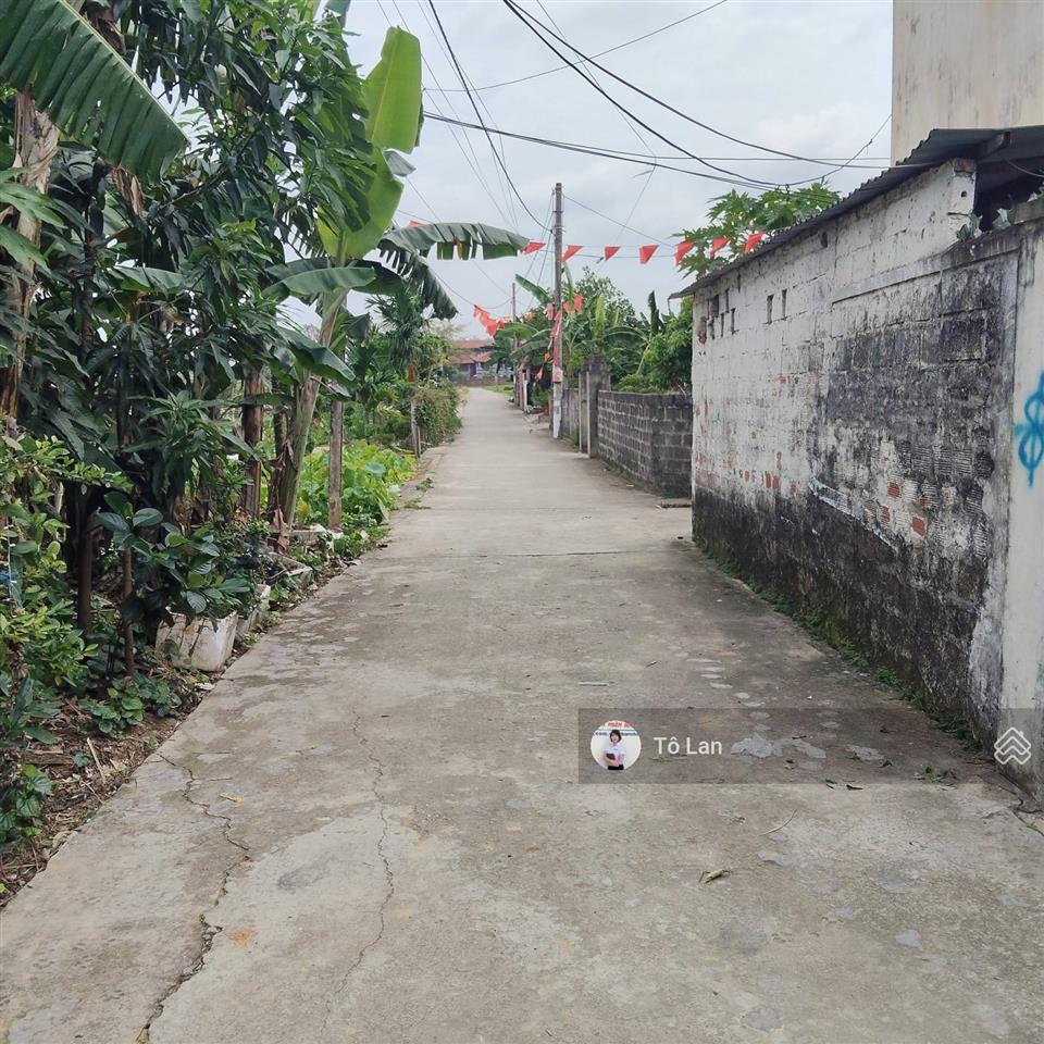 Mở bán 6 lô f0 hoa động  thủy nguyên  hải phòng giá chỉ từ 7xx triệu/lô