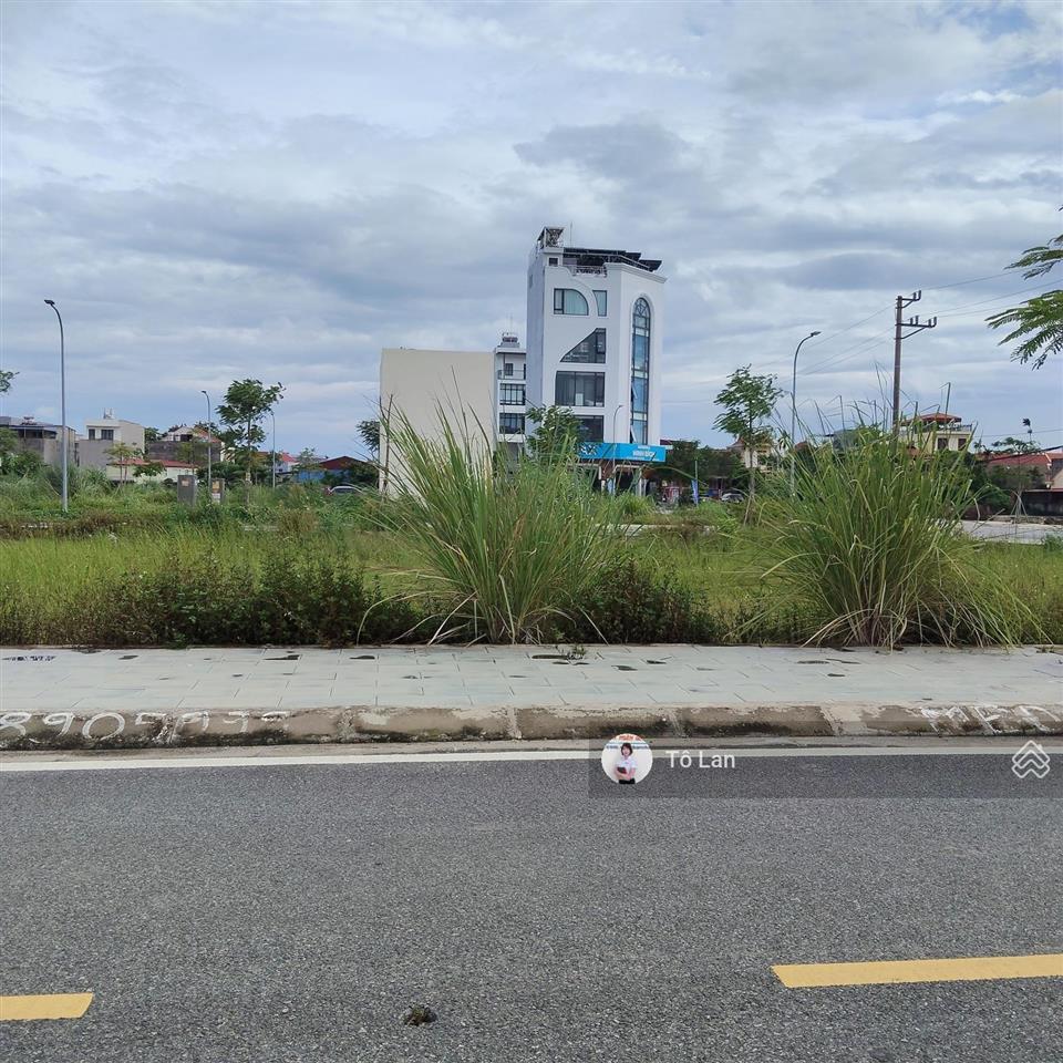 Bán đất đấu giá bái ngoài hoa động thủy nguyên hải phòng