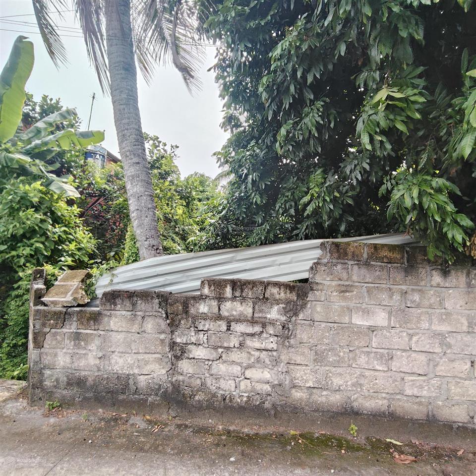 Bán đất lâm động cách đường 203 chỉ 20 m
dt 143 m ngang 5 đường thông ô tô chạy vèo vèo giá cực t