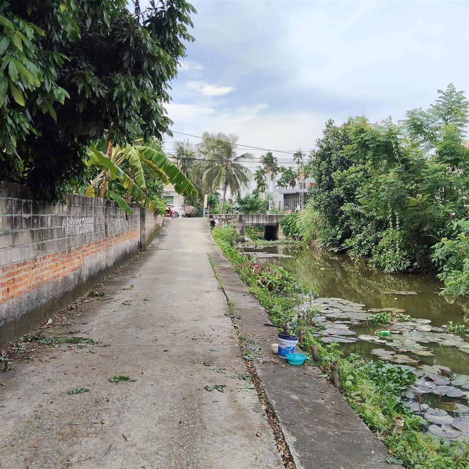 Bán đất lâm động cách đường 203 chỉ 20 m
dt 143 m ngang 5 đường thông ô tô chạy vèo vèo giá cực t