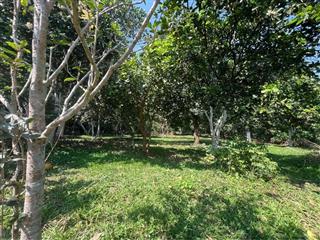 Bán lô đất 4860m2 ( 450m2 thổ cư) Tại phường Thống Nhất -  Hoà Bình ( nay là Tỉnh Phú Thọ)