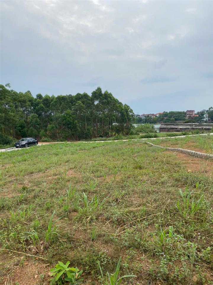 Bán lô đất 721m2 Tại Quỳnh Sơn - Yên Dũng - Bắc Giang.