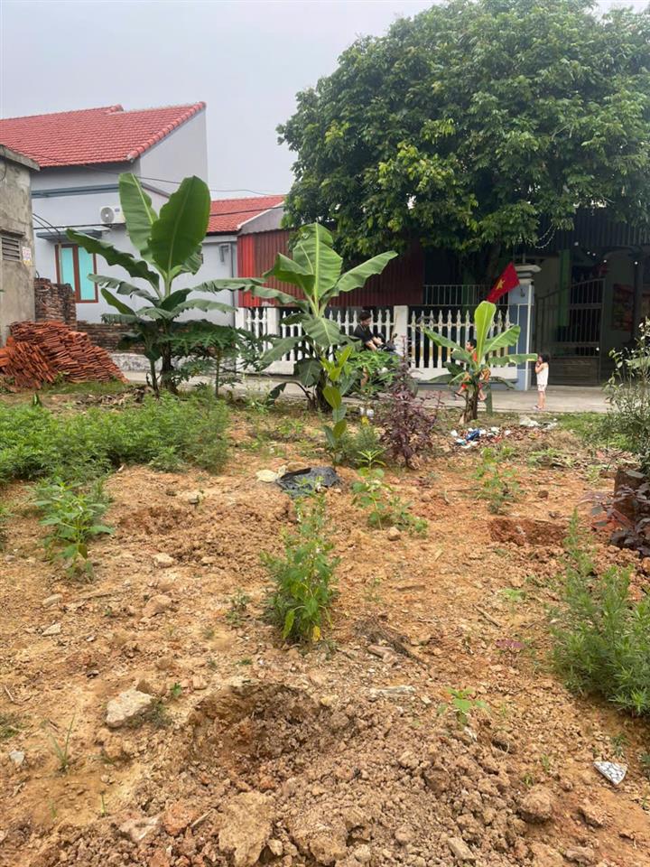 Bán lô đất Có Diện Tích 535m2 ( thổ cư 200m) Tại TT Lâm Thao – Phú Thọ.