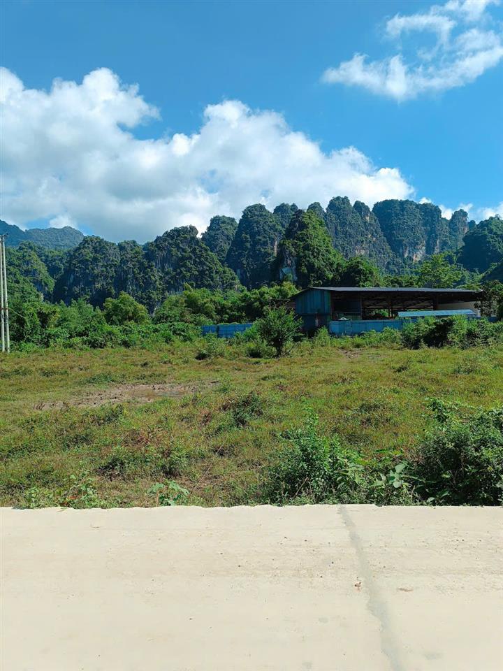 Bán lô đất trồng cây hàng năm > 12000m tại Thôn Mường Cộng - Tân Lạc.