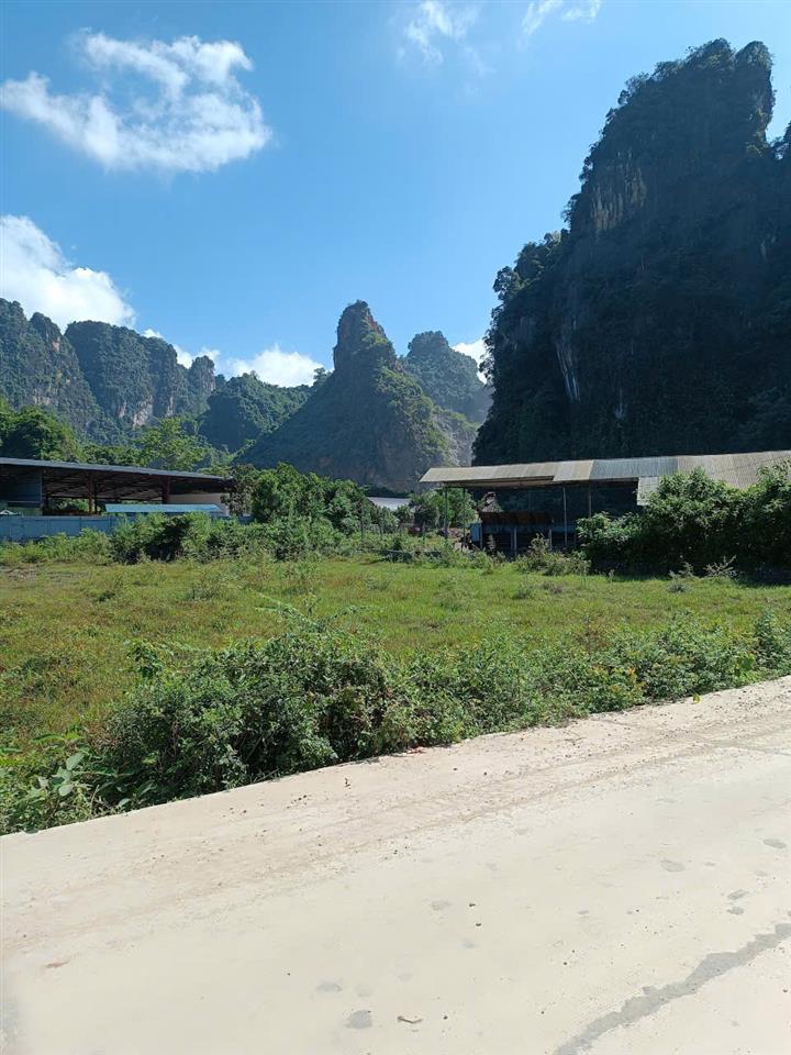 Bán lô đất trồng cây hàng năm > 12000m tại Thôn Mường Cộng - Tân Lạc.