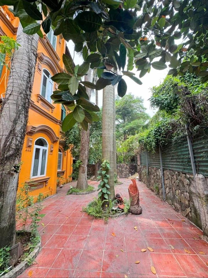 Hàng hiếm tây hồ. không quy hoạch, 315m2. view hồ tây, chủ ngộp bank