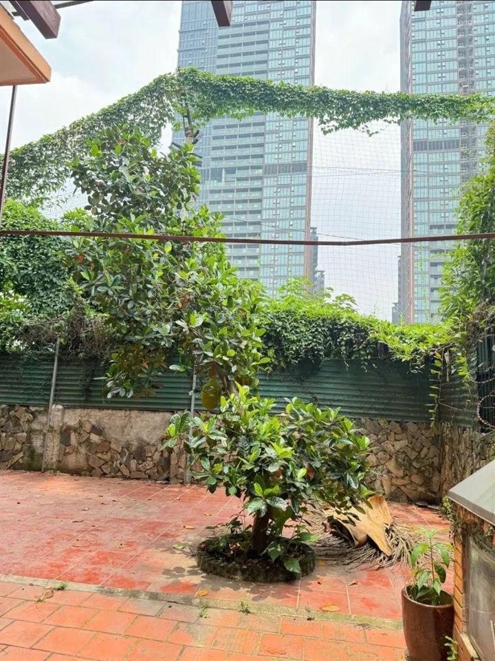Hàng hiếm tây hồ. không quy hoạch, 315m2. view hồ tây, chủ ngộp bank