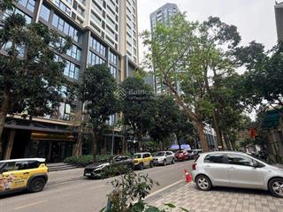 Biệt thự vườn đào vip tây hồ 210m², mt 14m đối diện siêu cc capital lan heritage, kinh doanh đỉnh
