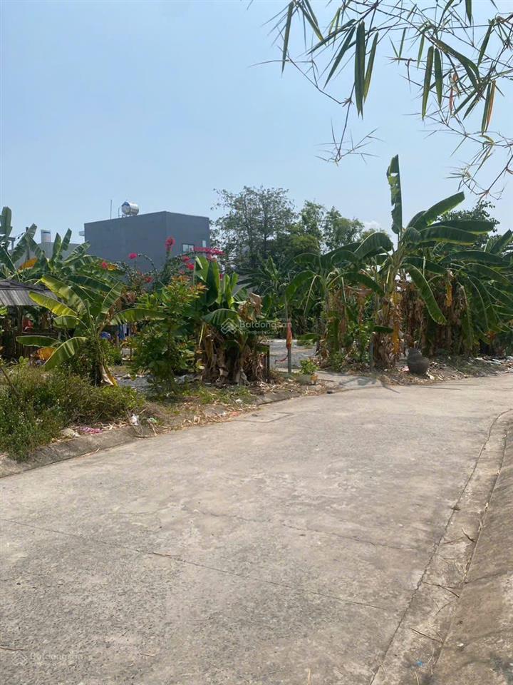 Bán 1900m2 đất trung tâm. đường đặng văn bi, p. bình thọ thủ đức. giá chỉ 35tr/m2