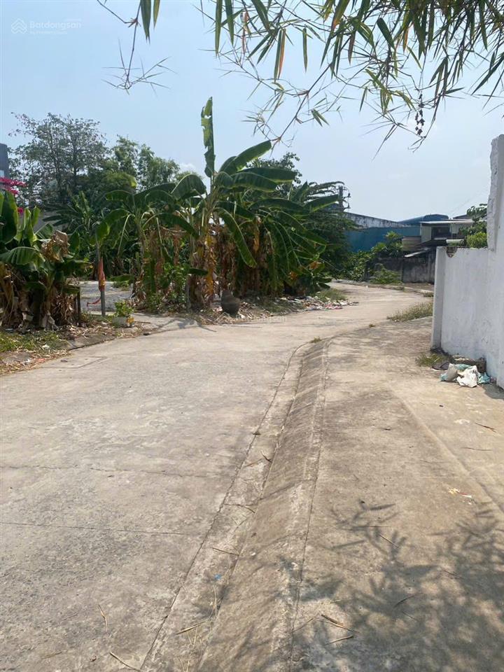 Bán 1900m2 đất trung tâm. đường đặng văn bi, p. bình thọ thủ đức. giá chỉ 35tr/m2