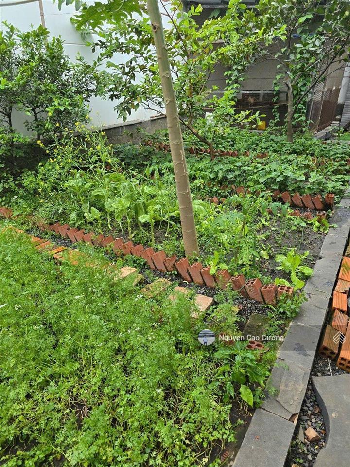 Biệt thự villa vườn 951m2, hồ bơi tràn bờ, 2 mặt tiền trước sau, 1/lê thị riêng, thới an, q12