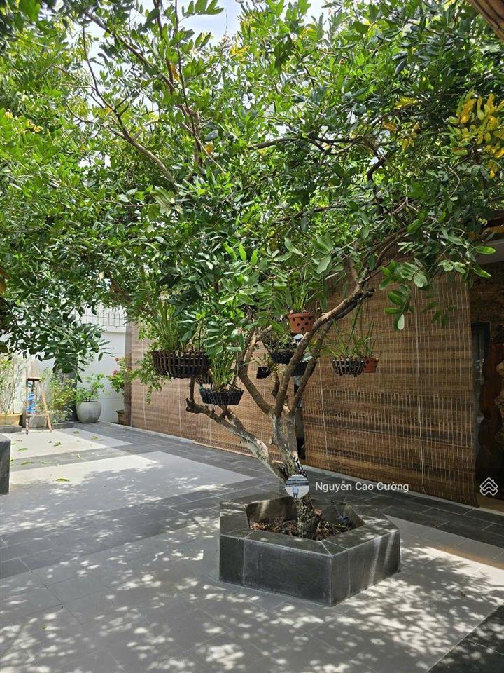 Biệt thự villa vườn 951m2, hồ bơi tràn bờ, 2 mặt tiền trước sau, 1/lê thị riêng, thới an, q12