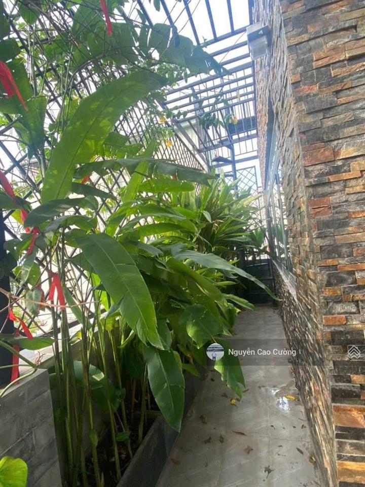 Biệt thự mini 8x15m thang máy đúc 4 tầng hẻm 6m 1/ lâm thị hố sát hiệp thành city