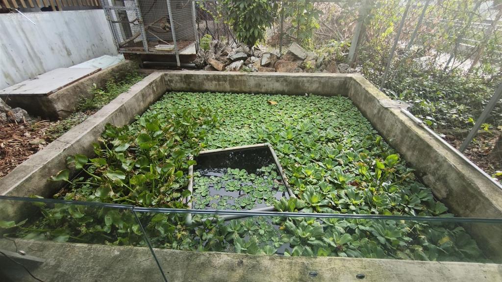 Biệt thự sân vườn ngang 30m sử dụng hơn 500m2, đường 10m kdc phú nhuận, lê thị riêng, thới an, q12