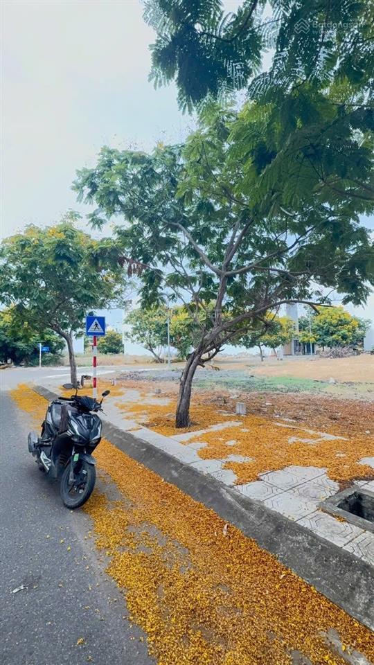 Bán lô đất tái định cư hà quang 2 đường số 6 xây dựng tự do sổ hồng riêng gần vành đai 2