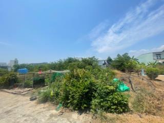 Sốc! đất 301.9m² có tới 241m² thổ cư tại đại phước  lô hiếm còn sót lại