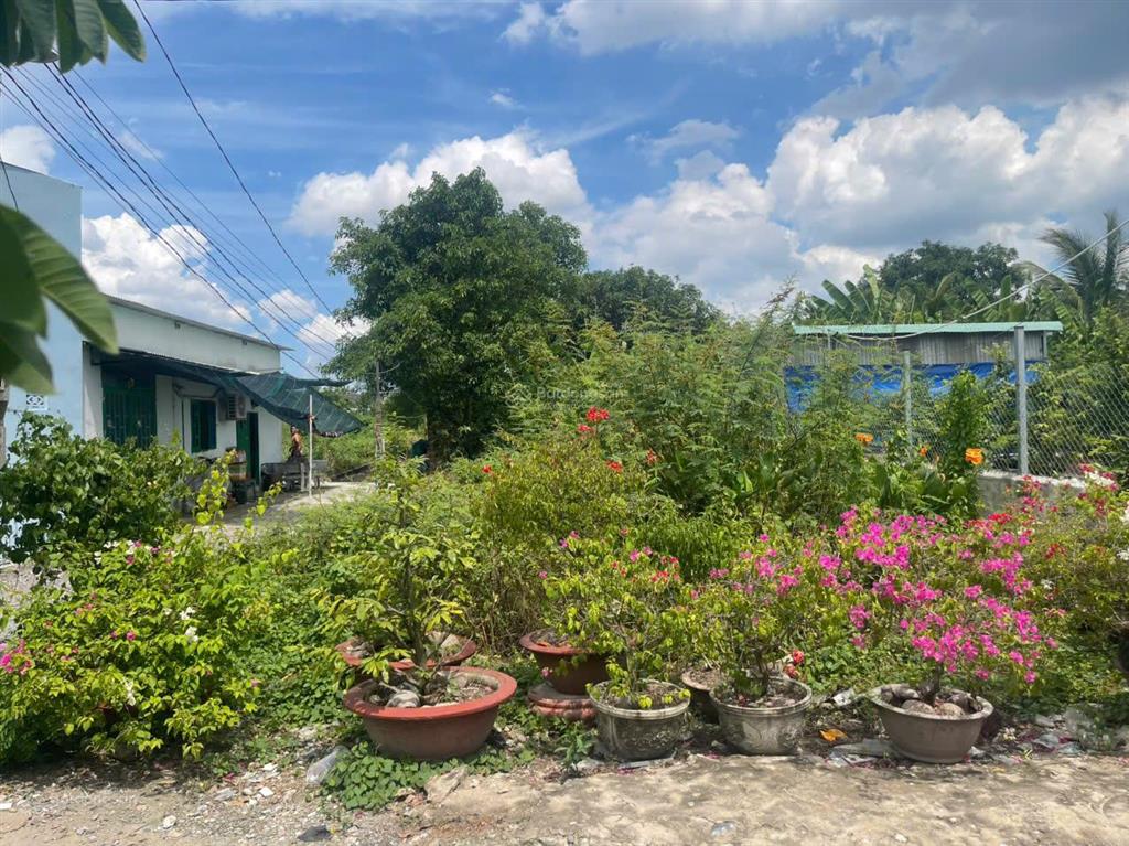 Giá bán nhanh đất đẹp đại phước 195.5m2 full thổ cư, 2 mặt tiền, dân cư đông, sổ hồng riêng