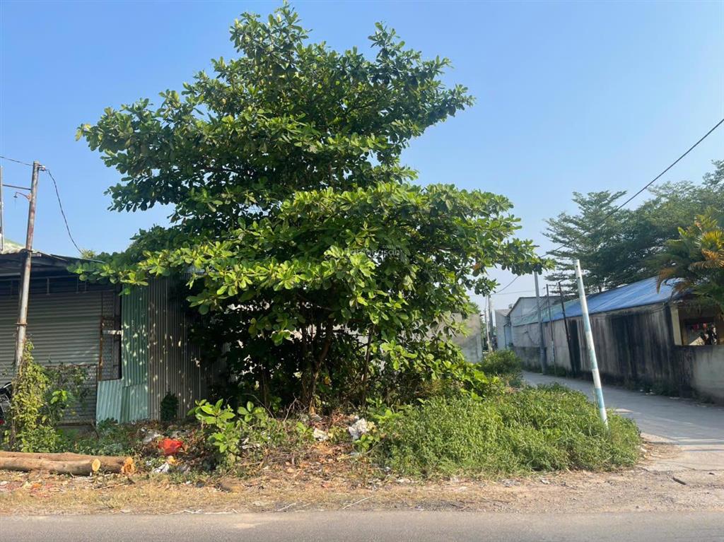 Đang ngộp bán nhanh trong tuần đất 2 mặt tiền võ thị sáu, pháp lý rõ ràng, tiềm năng khai thác cao