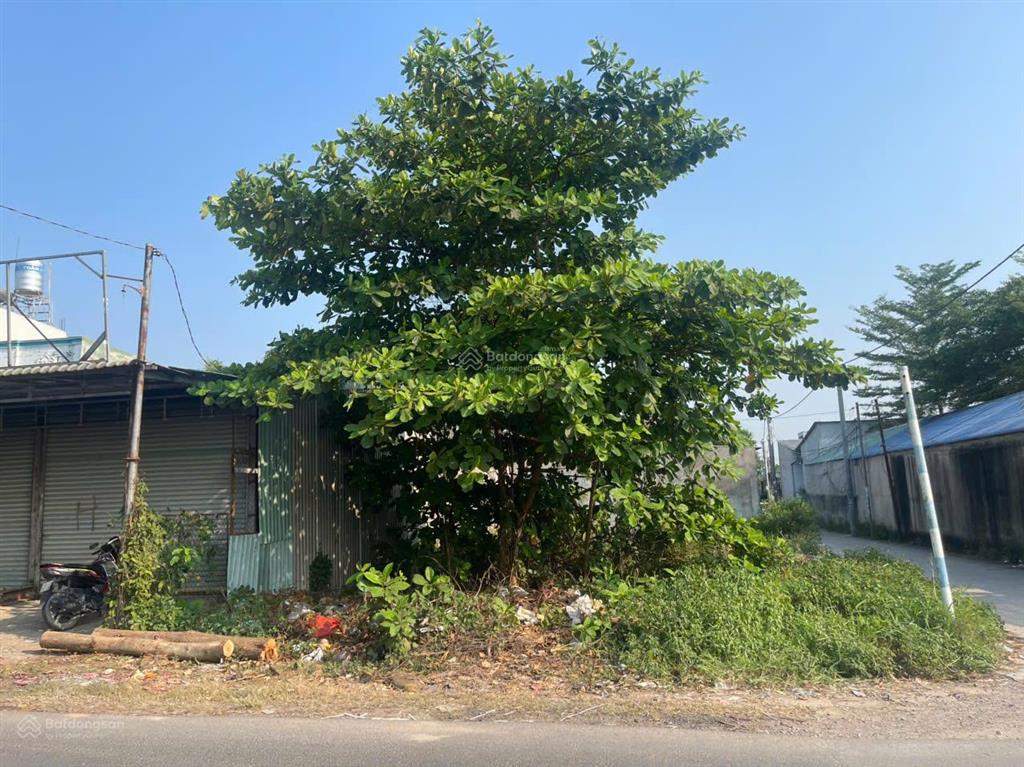 Đang ngộp bán nhanh trong tuần đất 2 mặt tiền võ thị sáu, pháp lý rõ ràng, tiềm năng khai thác cao