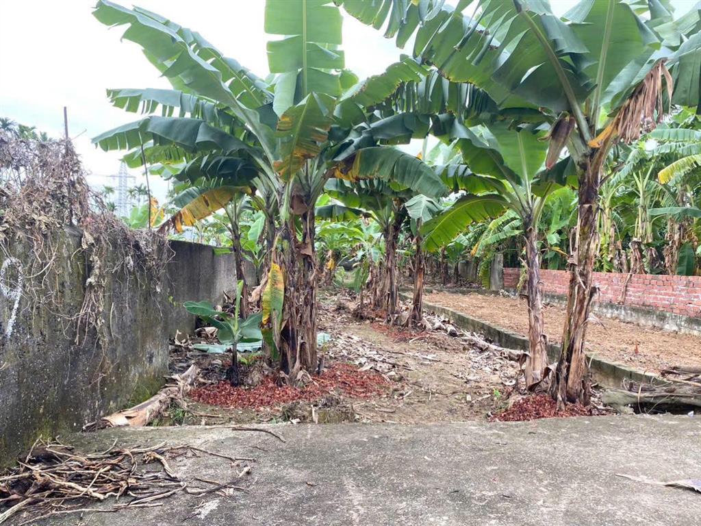 Chính chủ cần bán lô đất giá rẻ thôn đông, quảng thanh, thủy nguyên