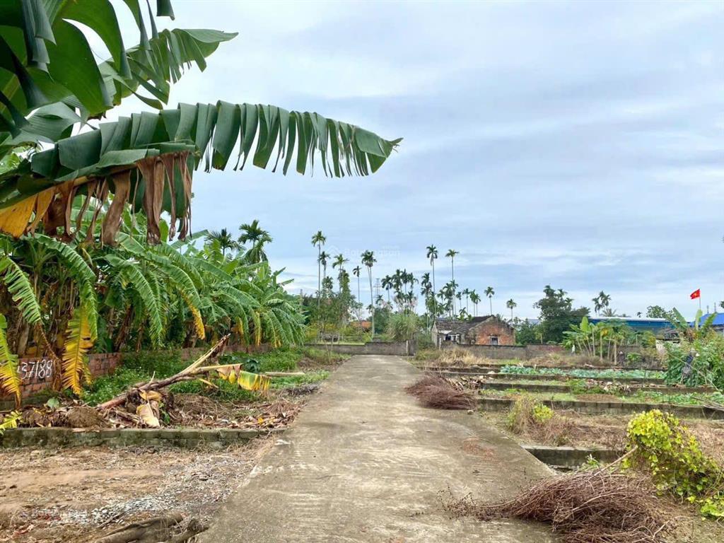 Chính chủ cần bán lô đất giá rẻ thôn đông, quảng thanh, thủy nguyên