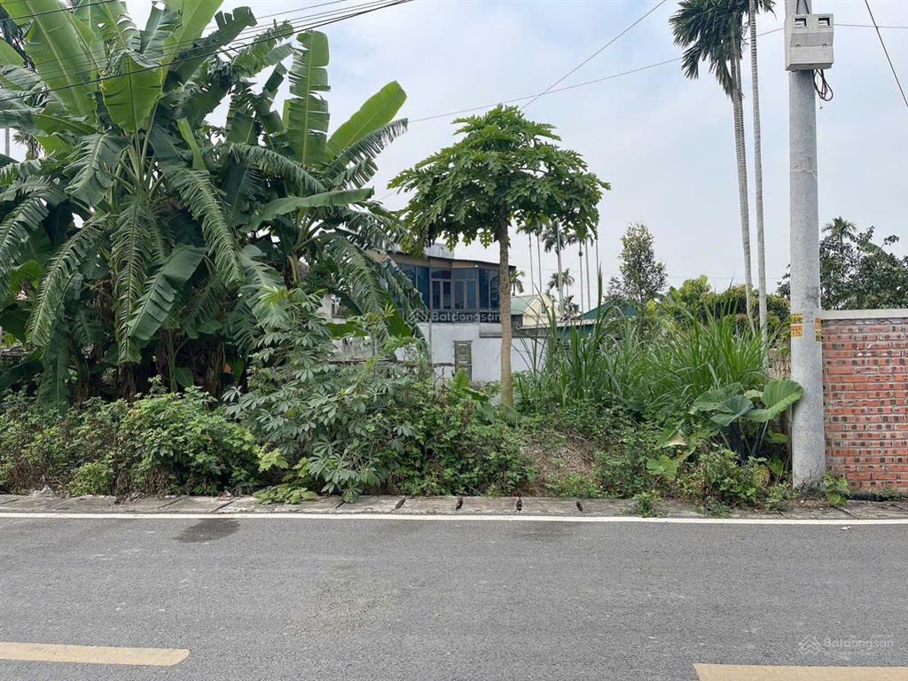 Chính chủ gửi bán lô đất đẹp tại lâm động cũ