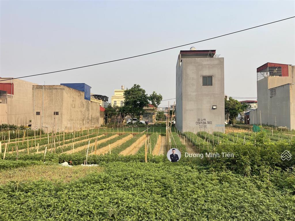 80m2 đất tđc cây lim  tây bắc  đường 12m