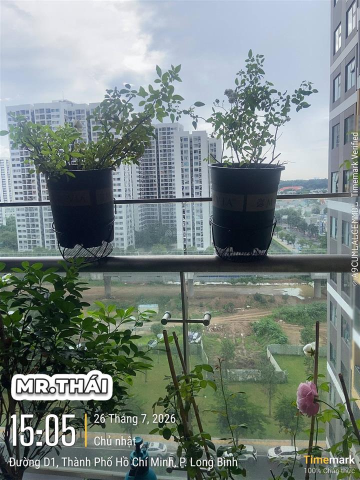 Chủ thân gửi 1pn+ bs9 2tỷ4xx  0935 378 *** thái