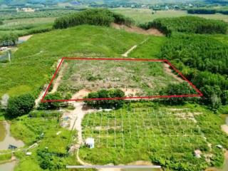 Bán 10.000m2 ( 1hetta ) đất trồng cây lâu năm sổ đỏ tại xã hòa vang tp đà nẵng