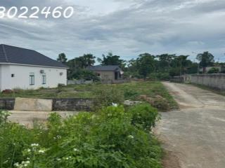 CHUYỂN NHƯỢNG LÔ 227M2 ĐẤT TẠI XÃ TU PHÚ, THANH THỦY, PHÚ THỌ