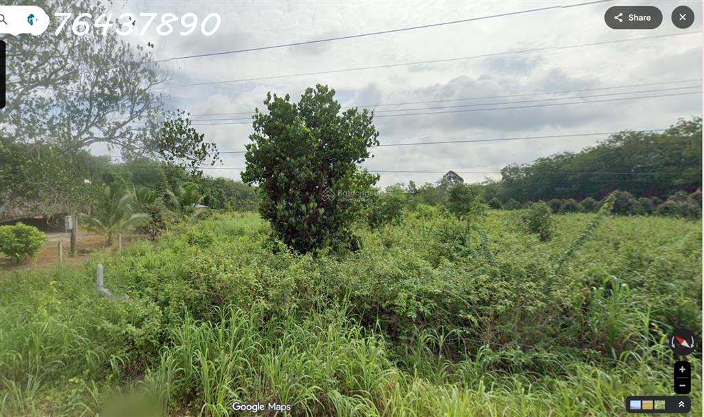 Bán đất tại đường Lò Rèn, Long Hòa, 4,5tr/m2, 3500m2, view đẹp, nhiều tiện ích