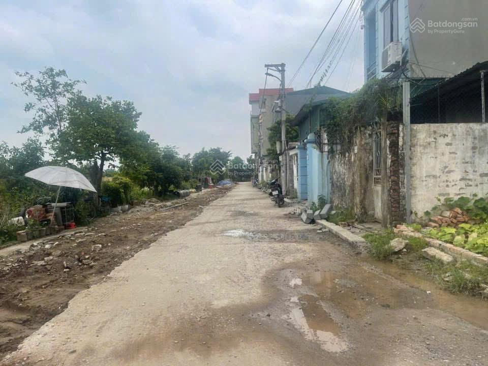 Bán đất trâu quỳ, lô góc 3 mặt thoáng 3 ô tô tránh nhau