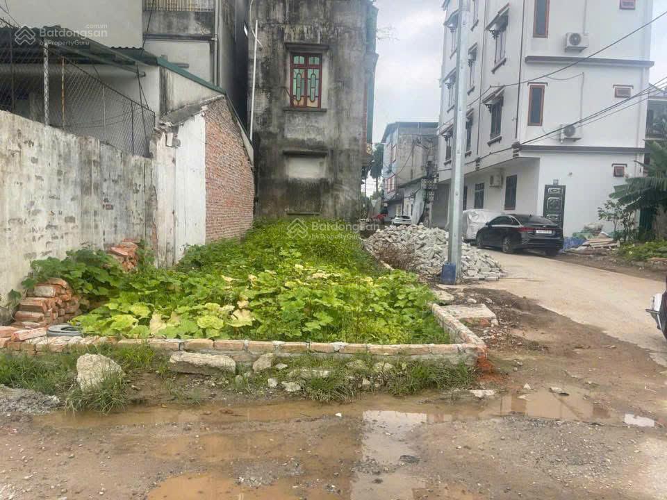 Bán đất trâu quỳ, lô góc 3 mặt thoáng 3 ô tô tránh nhau