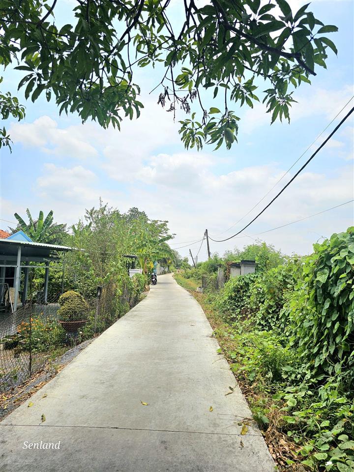 Chuyển nhượng lô đất 2000m2, 2 mặt tiền đường xã bình chánh gần đường hoàng phan thái và quốc lộ 1