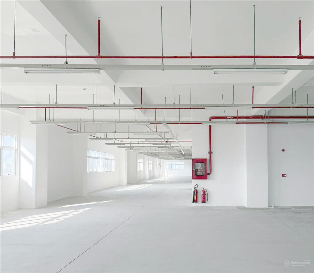Nhà xưởng & kho thương mại tại khu tân thuận | lợi thế từ môi trường doanh nghiệp quốc tế
