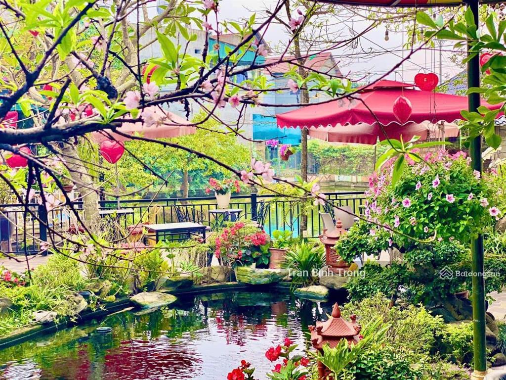 Sang nhượng quán cà phê sân vườn không gian xanh cực đẹp, giá cực chất 30 triệu, 1500m2
