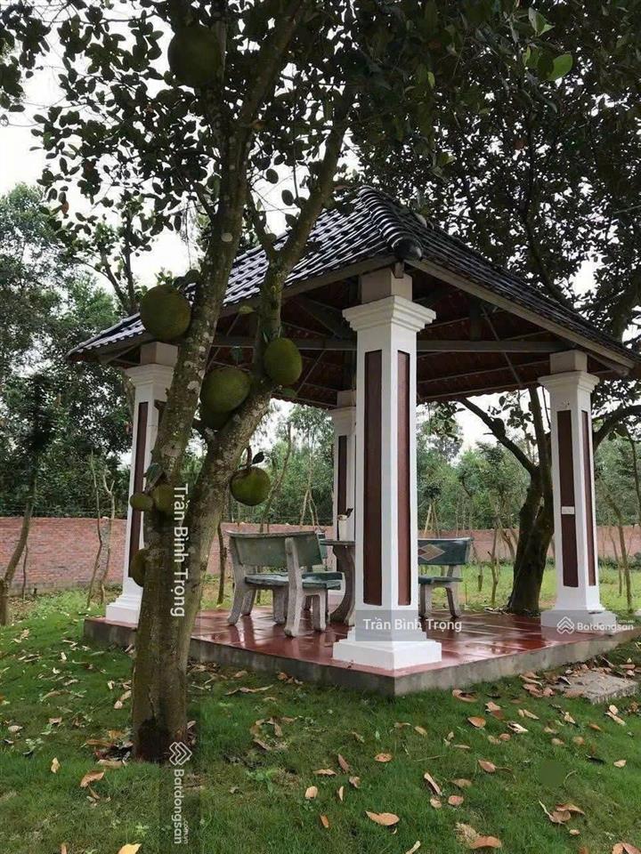Bán nhà đất, nhà vườn rộng 2907m2 hữu thủ, kim long, tam dương